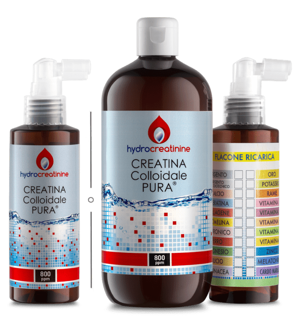 Creatina