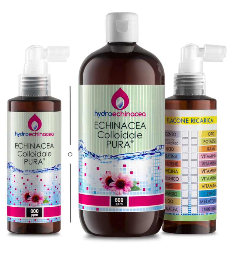 Echinacea