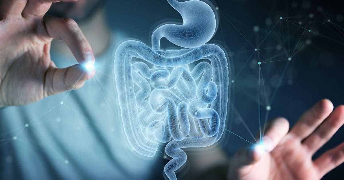 uomo indica un intestino ologramma